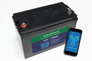 12V 100Ah (100A BMS) LiFePO4 batteri m/APP overvågning batteri – 2 stk. indgår i 200Ah-pakken
