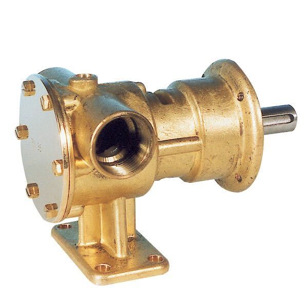 Impeller pumpe 1" PM 36
