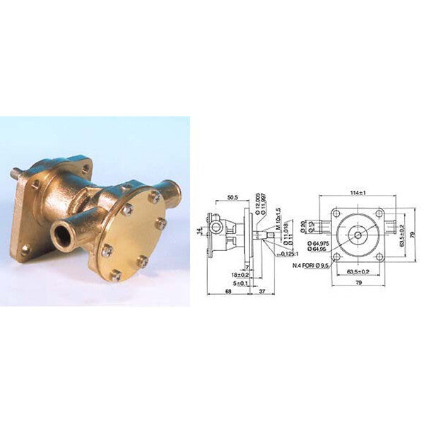Pump with flange for ST123 motor