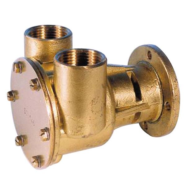 Pump with flange for motor ST146