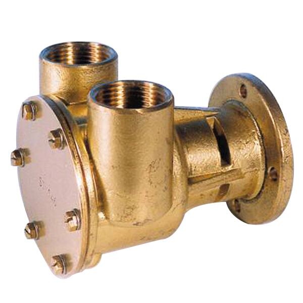 Pump with flange for motor ST142