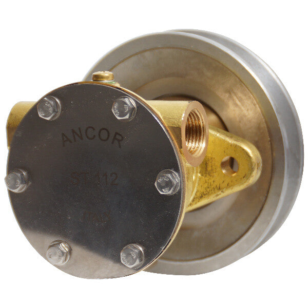 Pump with flange for motor ST112
