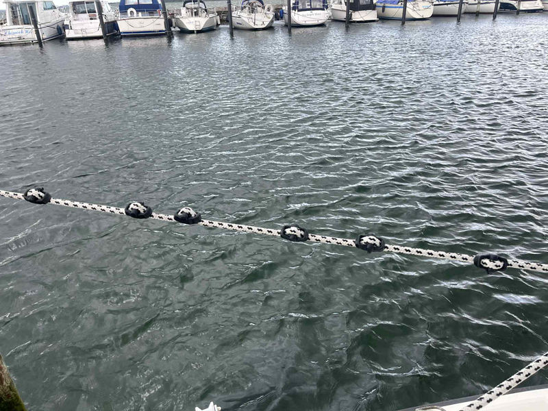 Bungy – mooring snubber (2-pack)